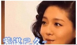 福州娱乐圈爆料事件最新,最新爆料事件揭秘